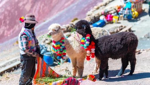 Conheça atrações diferentes no Peru