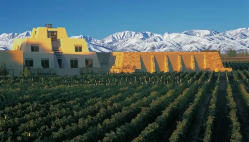 América do Sul se destaca no prêmio World’s Best Wineyards 2023